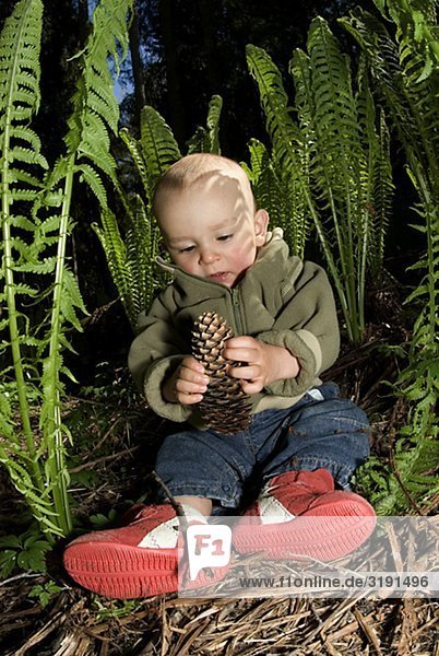 Ein Kind halten einen Fir Kegel  Schweden.