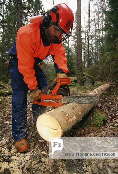 Mann schneiden Log-Struktur mit Kettensäge