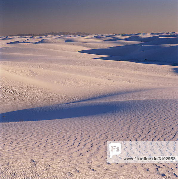 Mit Sanddünen im Hintergrund Wüste