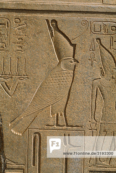Pharaoan Falcon Gott Horus und Hieroglyphen in der Luxor-Tempel