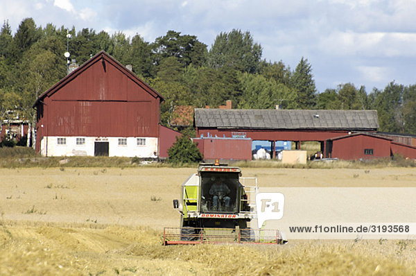 Landwirtschaft  Schweden.