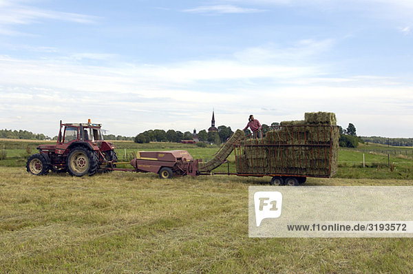Landwirtschaft, Schweden.