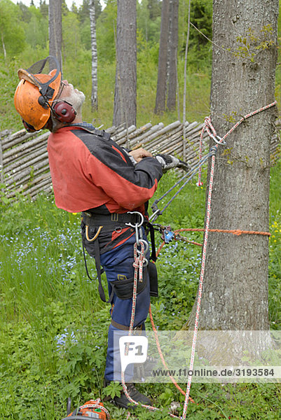 A woodman working  Sweden.