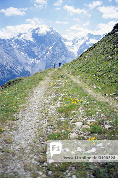 Hiking path in the italian alps.