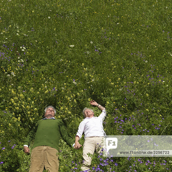 Seniorenpaar im Blumenfeld liegend