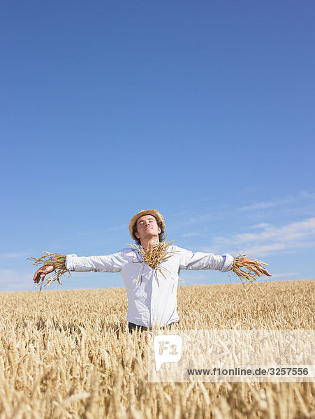 scarecrow in wheat field