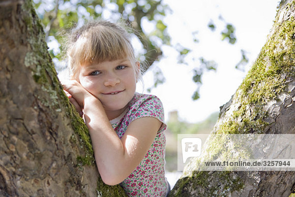 Junges Mädchen im Baum sitzend