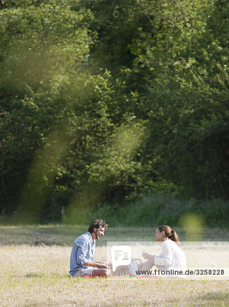 Couple having a picnic in countryside