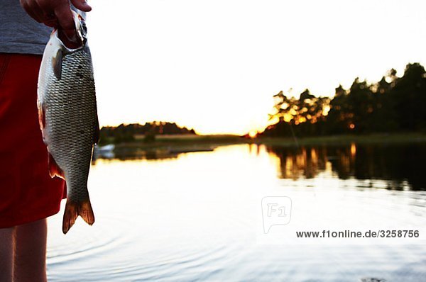 Die Hand eines Mannes mit einem Fisch  Schweden.