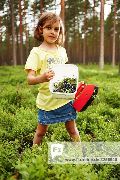 Ein Mädchen Kommissionierung Bluberrys im Wald
