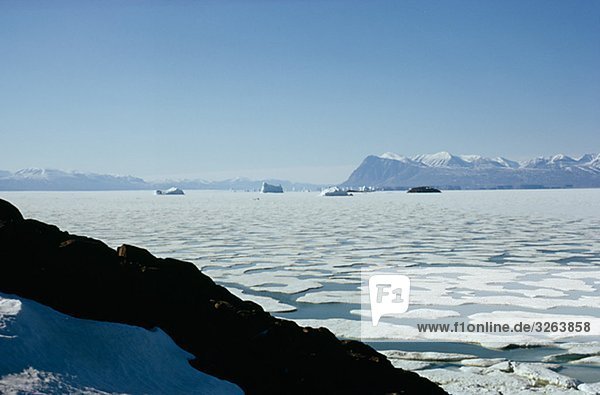 Eisschollen im Ozean  Grönland.
