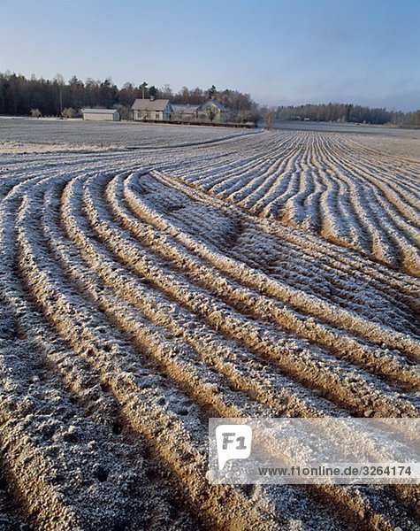 A frozen field  Sweden.