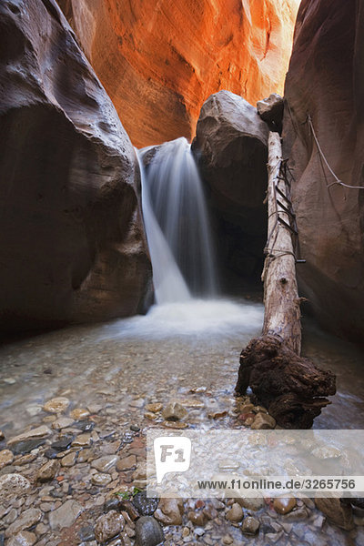 USA  Utah  Slot Canyon  Wasserfall  Kanarra Creek