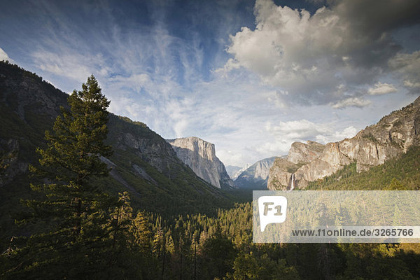 USA  Kalifornien  Yosemite National Park  Tunnelaussichtspunkt