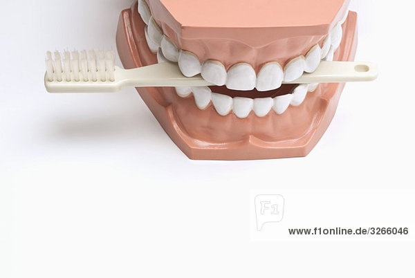 Set of dentures and toothbrush