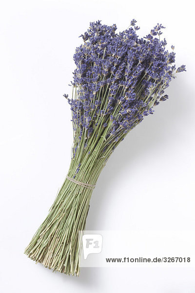 Dried Lavender Bunch  elevated view
