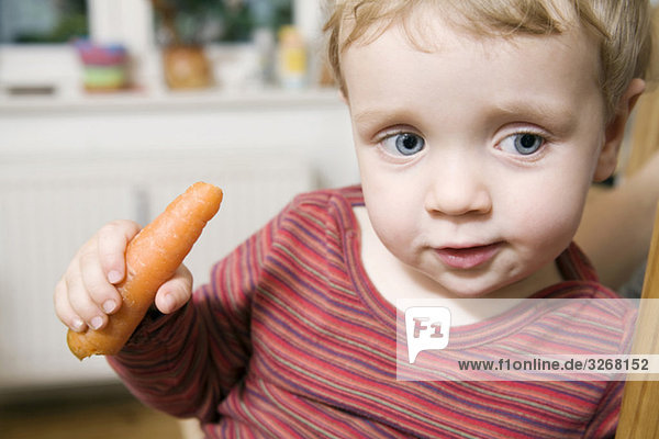 Baby boy (18-23 months) holding carrot  close-up