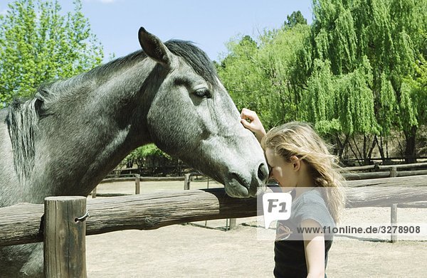 Girl stroking horse