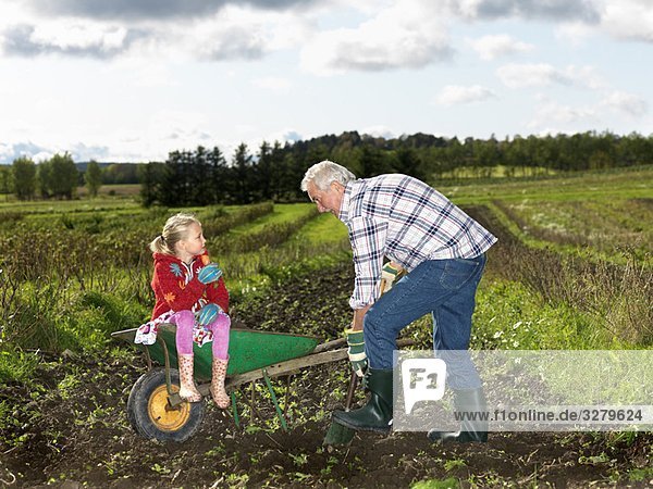 Großvater beim Schaufeln von Schmutz