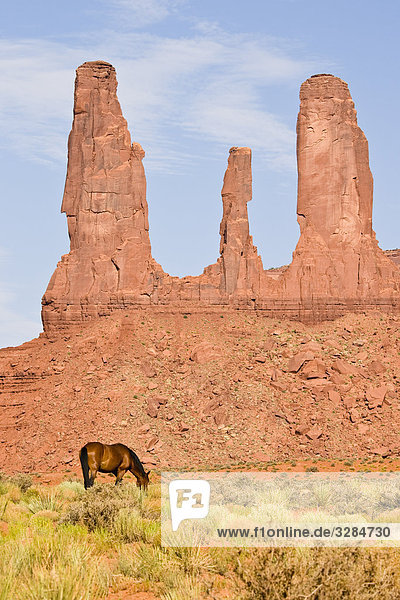 Pferd grasend vor Felssäulen  Monument Valley  Utah  USA