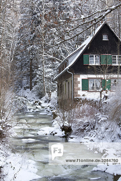 Haus neben einem zugefrorenen Bach  Schwarzwald  Deutschland
