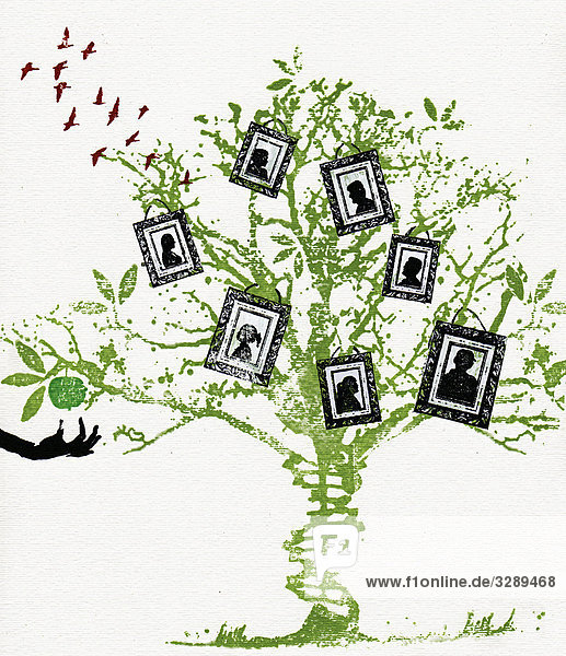 Bilder an Familienstammbaum