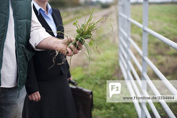 Landwirt zeigt Geschäftsfrau bei der Ernte