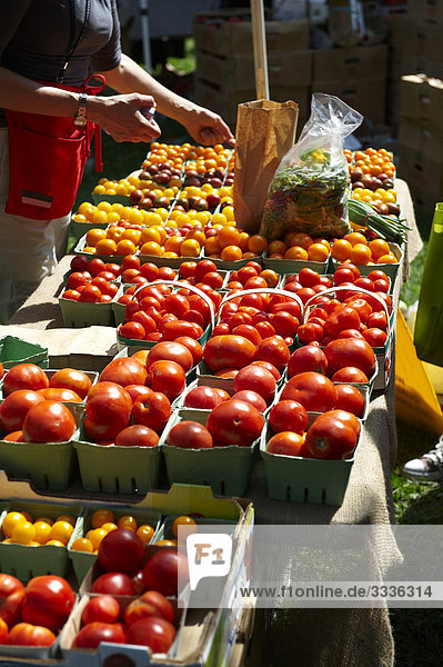 Frau verkaufen Tomaten  Riverdale Bauernmarkt  Toronto  Ontario