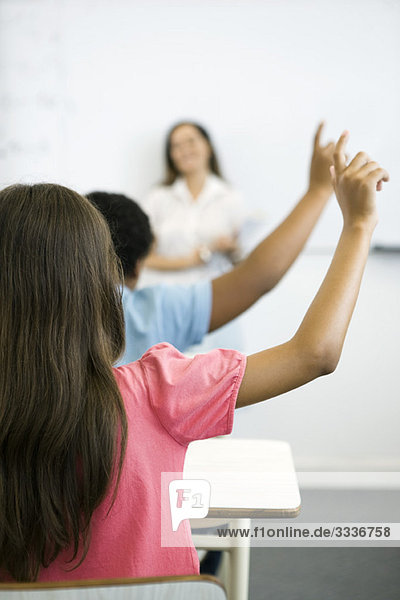 Elementary school students raising hand in class  rear view