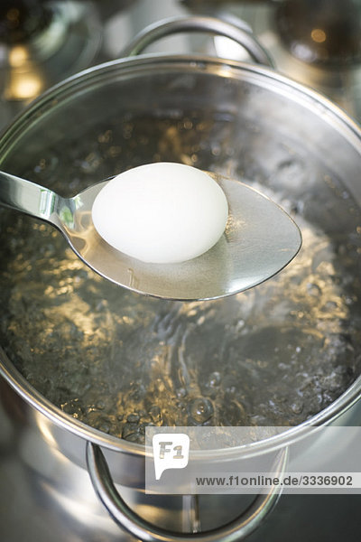 Placing egg in boiling water