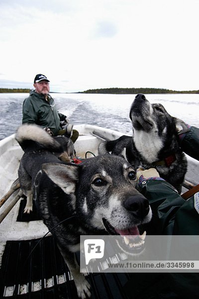 Hunters and dogs in a boat  Sweden.