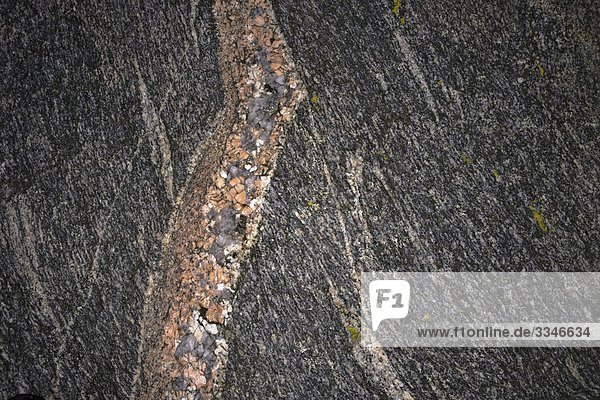 A flat piece of rock  close-up  Sweden.