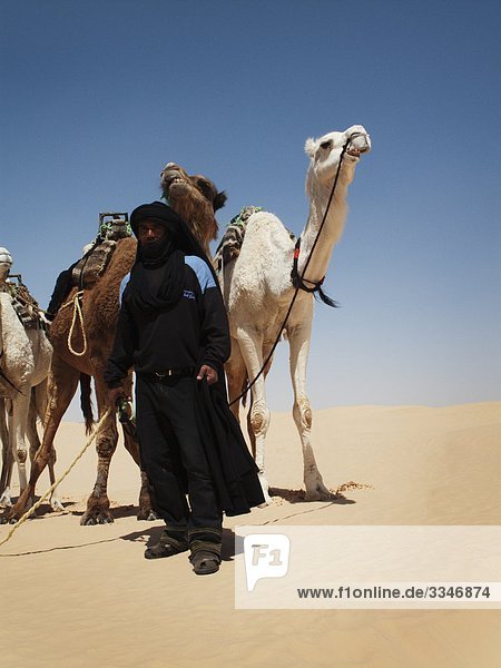 Eim Bettuine mit Dromedare in der Wüste  Tunesien.