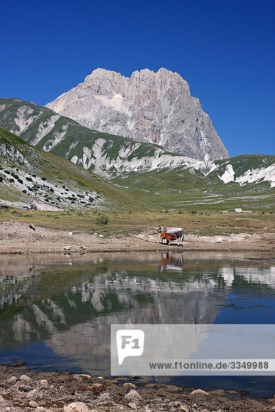 Nationalpark Hintergrund Berg Großmutter Italien