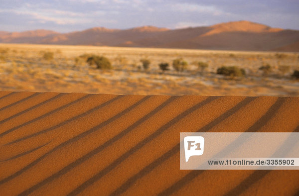 Wüste Namib  Namibia  Afrika