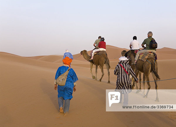 10871439  camel ride  camel train  camels  dromedaries  tourists  excursion  sand  dunes  Sahara  desert  Morocco  North Africa  Africa  Merzouga Dunes  Erg Chebbi  Touaregs  guides  people  horizontal