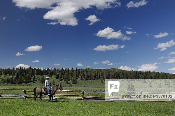 10872541  Cowboy  Horseback  riding  Flying A Ranch  Guest Ranch  Bondurant  Wyoming  USA  horse