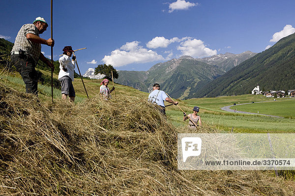 10873870  Switzerland  swiss  agriculture  Goms  make hay  hay  Obergestelen  scenery  canton Valais  farmers  work  rake  haycocks
