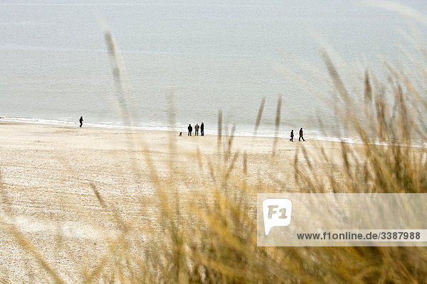 Menschen am Strand in Kampen  Sylt  Deutschland  Erhöhte Ansicht
