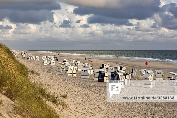 Hooded Beach Chairs at beach of Rantum  Sylt  Germany  elevated view