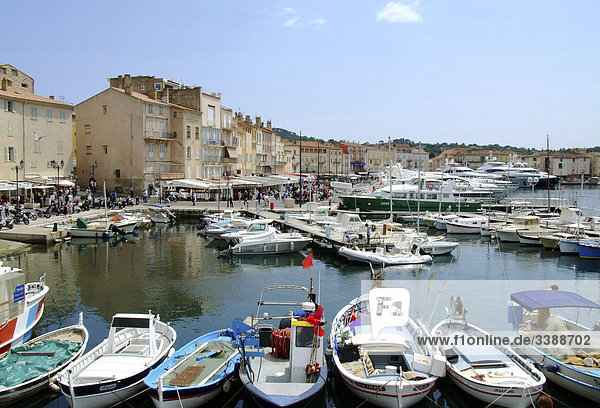 Fishing boats at the harbour of St. Tropez  France  elevated view