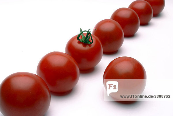 Tomaten vor weißem Hintergrund  Close-up