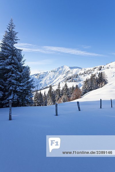 Winter landscape Dienten am Hochkoenig Austria