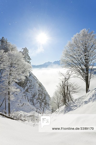 Mountain landscape at Untersberg mountain range in Berchtesgaden Alps Berchtesgaden Germany