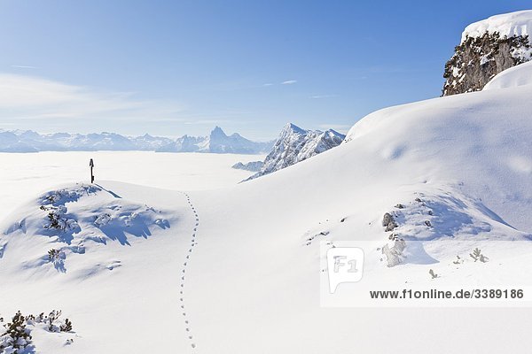 Memorial cross and traces in the snow on a mountain peak Berchtesgaden Alps Austria elevated view