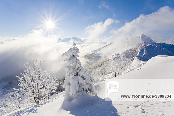 Winter landscape in the East Alps St. Koloman Austria