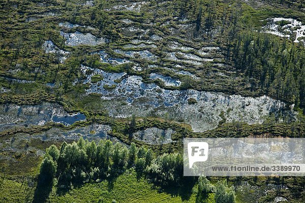 Luftbild von einem Sumpf  Lappland  Schweden.
