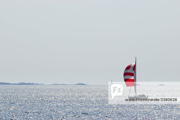 Ein Segelboot auf dem Meer  Schweden.