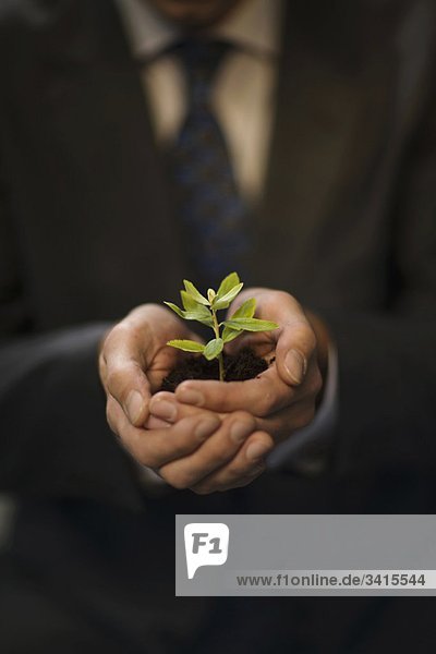 man holding plant in hands