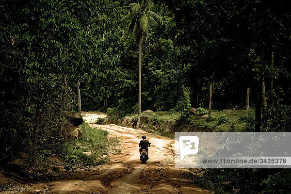 Mopedfahrer auf einem Waldweg  Ko Phangan  Thailand  Rückansicht
